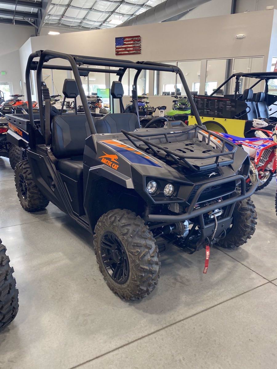 New 2020 ARCTIC CAT STAMPEDE LIMITED ATV in Boise #ARL051 | Dennis ...